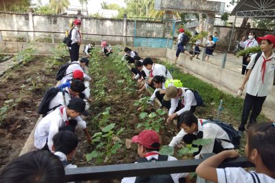 CÔNG TRÌNH MĂNG NON CHÀO MỪNG ĐẠI HỘI ĐOÀN CÁC CẤP