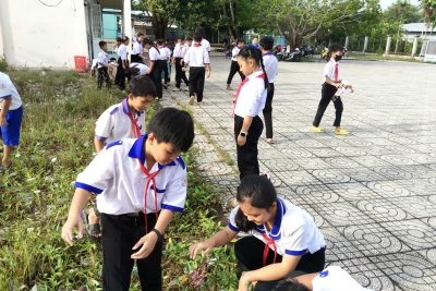 MÔ HÌNH VƯỜN RAU SẠCH TRONG TRƯỜNG HỌC